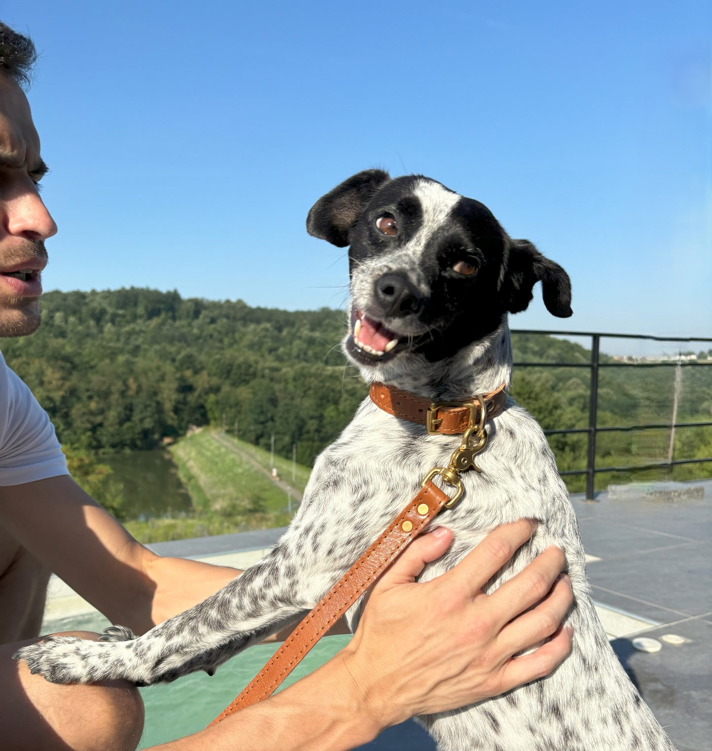 Happy dog wearing caramel leather collar and leash set with golden brass hardware, being lovingly hugged by a man, radiating joy and elegance.